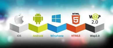 運營軟件 app定制開發